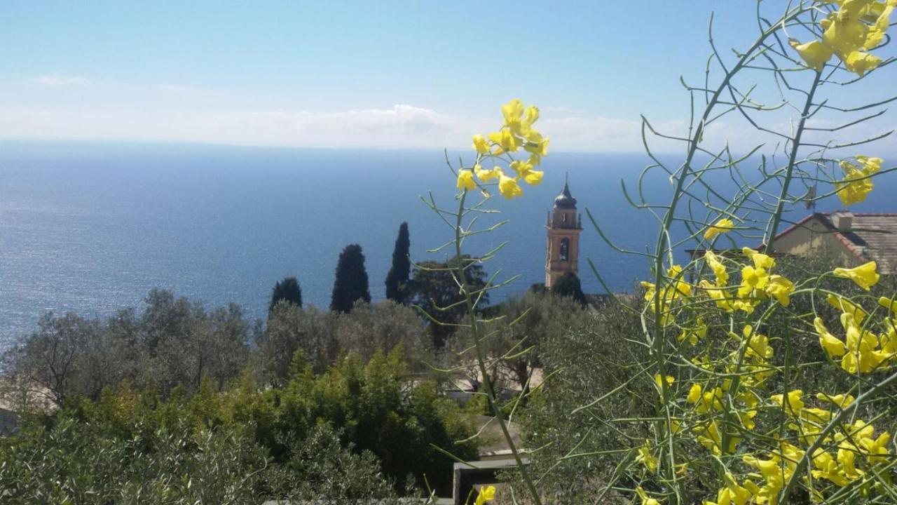 Il Gabbiano Di Pieve Bed & Breakfast Pieve Ligure Ngoại thất bức ảnh