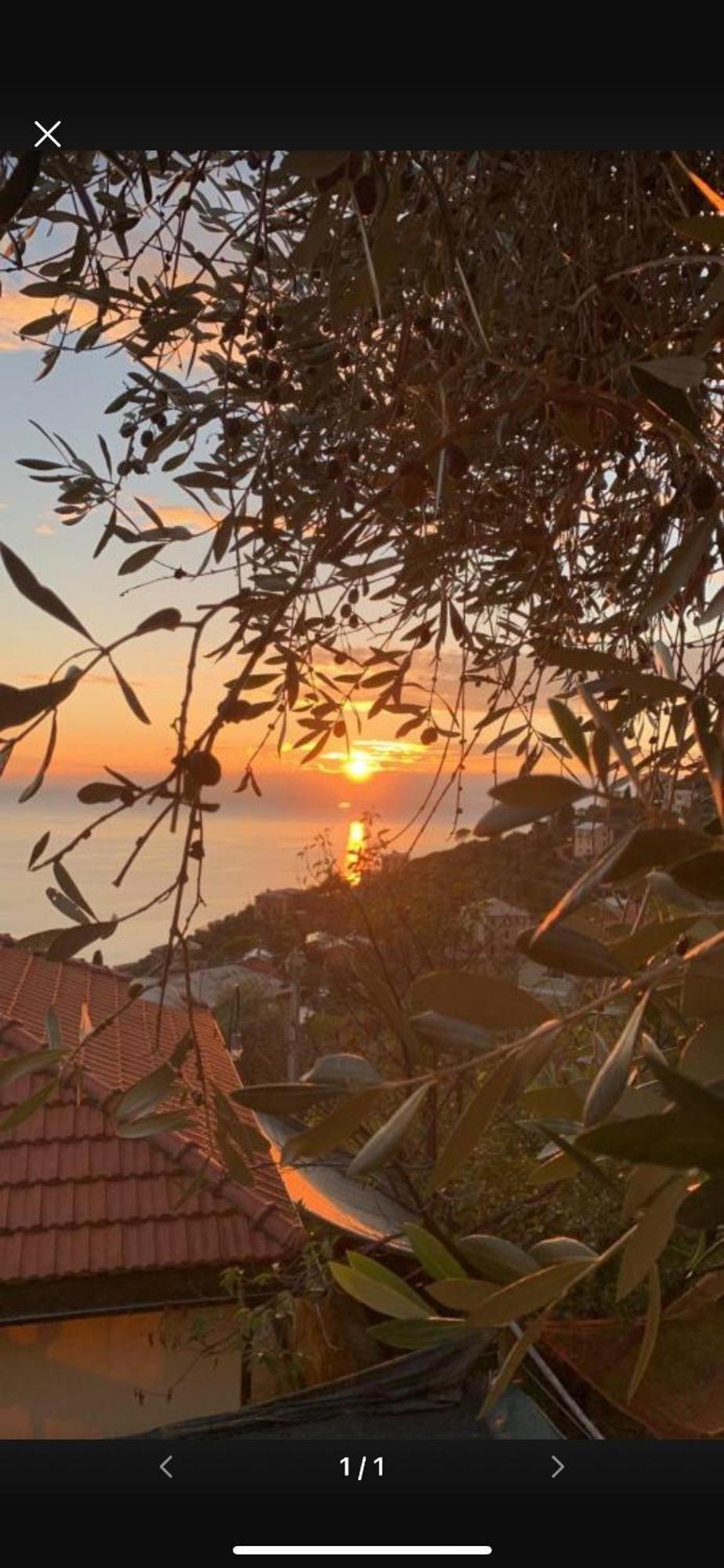 Il Gabbiano Di Pieve Bed & Breakfast Pieve Ligure Ngoại thất bức ảnh