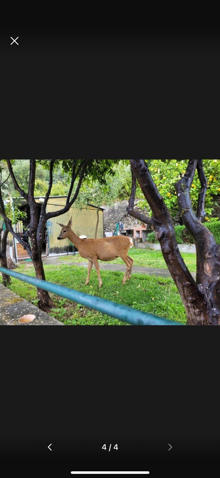 Il Gabbiano Di Pieve Bed & Breakfast Pieve Ligure Ngoại thất bức ảnh