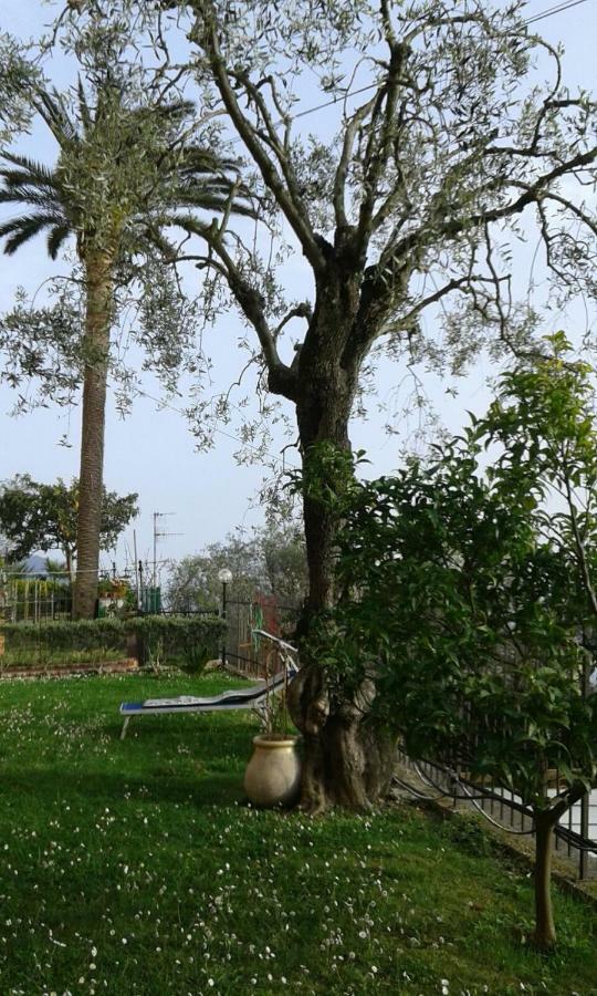 Il Gabbiano Di Pieve Bed & Breakfast Pieve Ligure Ngoại thất bức ảnh